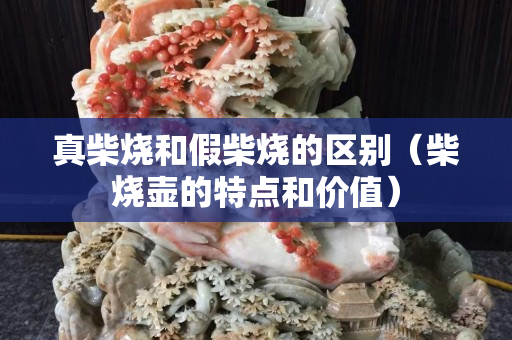 真柴烧和假柴烧的区别（柴烧壶的特点和价值）