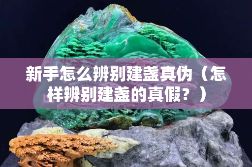 新手怎么辨别建盏真伪（怎样辨别建盏的真假？）