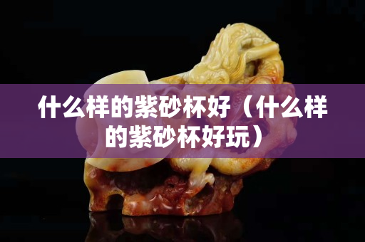什么样的紫砂杯好（什么样的紫砂杯好玩）