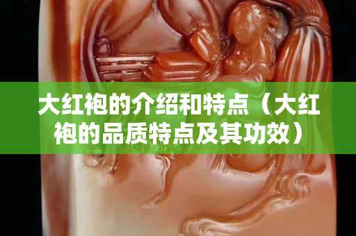 大红袍的介绍和特点（大红袍的品质特点及其功效）