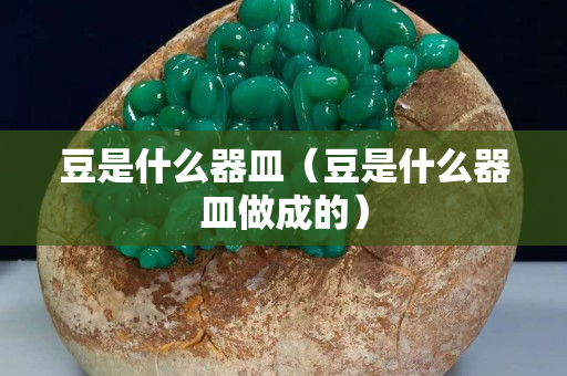 豆是什么器皿（豆是什么器皿做成的）