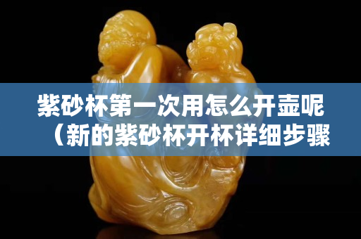 紫砂杯第一次用怎么开壶呢（新的紫砂杯开杯详细步骤）