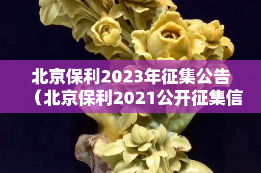 北京保利2023年征集公告（北京保利2021公开征集信息）