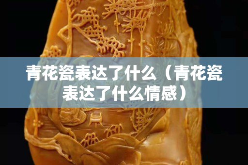 青花瓷表达了什么（青花瓷表达了什么情感）