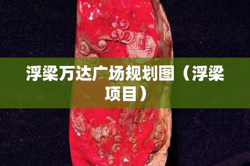 浮梁万达广场规划图（浮梁项目）