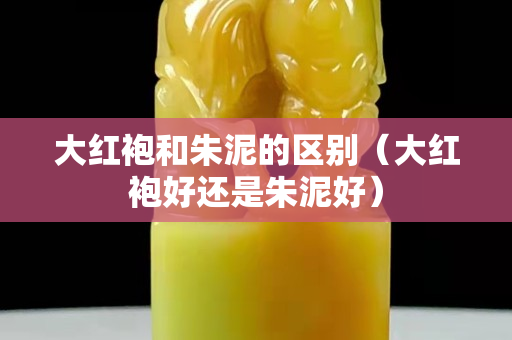 大红袍和朱泥的区别（大红袍好还是朱泥好）