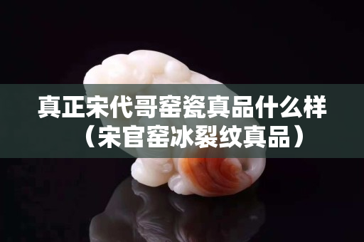 真正宋代哥窑瓷真品什么样（宋官窑冰裂纹真品）