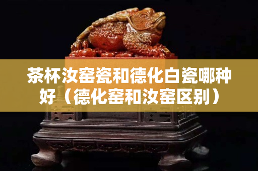 茶杯汝窑瓷和德化白瓷哪种好（德化窑和汝窑区别）
