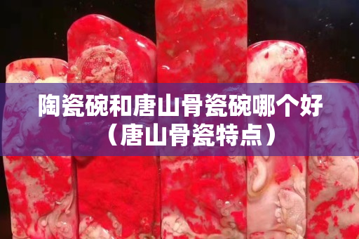 陶瓷碗和唐山骨瓷碗哪个好（唐山骨瓷特点）