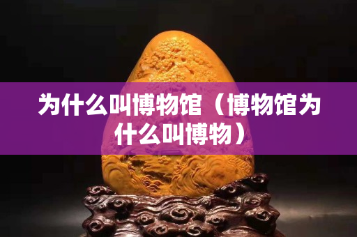 为什么叫博物馆（博物馆为什么叫博物）