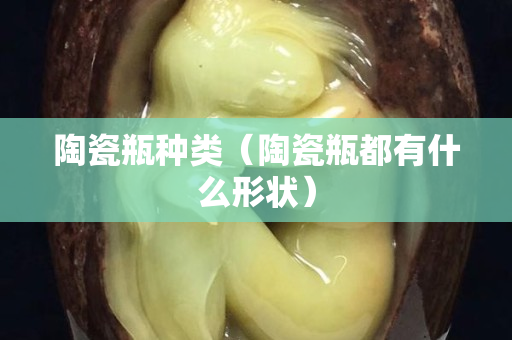 陶瓷瓶种类（陶瓷瓶都有什么形状）