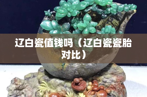 辽白瓷值钱吗（辽白瓷瓷胎对比）