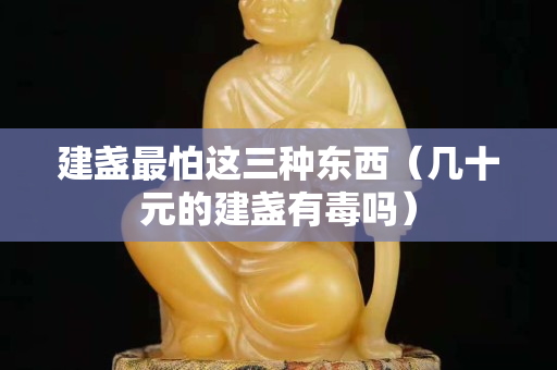 建盏最怕这三种东西（几十元的建盏有毒吗）