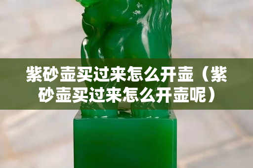 紫砂壶买过来怎么开壶（紫砂壶买过来怎么开壶呢）