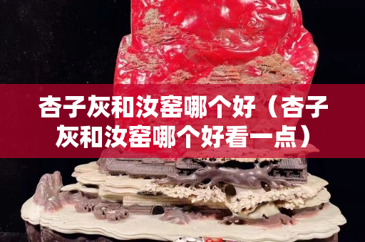 杏子灰和汝窑哪个好（杏子灰和汝窑哪个好看一点）