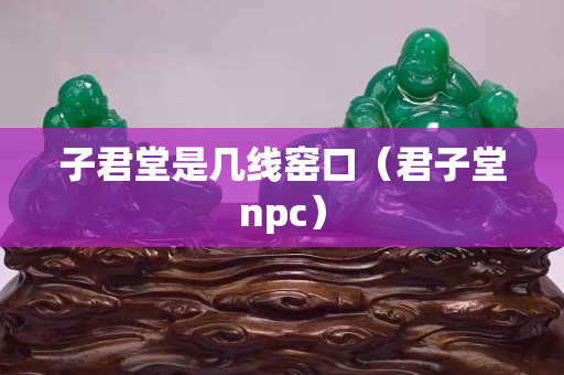 子君堂是几线窑口（君子堂npc）