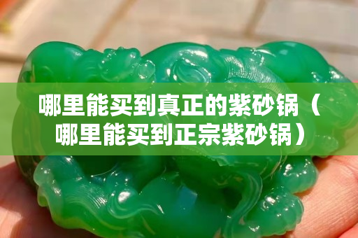哪里能买到真正的紫砂锅（哪里能买到正宗紫砂锅）