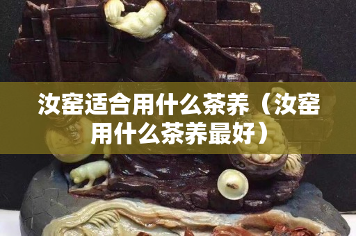 汝窑适合用什么茶养（汝窑用什么茶养最好）