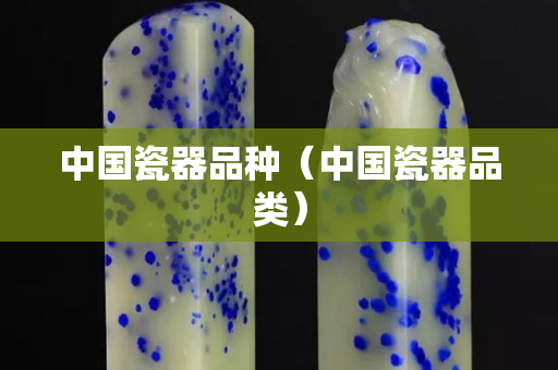 中国瓷器品种（中国瓷器品类）