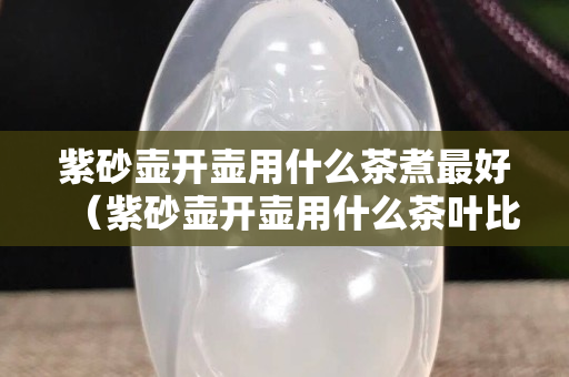紫砂壶开壶用什么茶煮最好（紫砂壶开壶用什么茶叶比较好）
