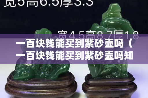一百块钱能买到紫砂壶吗（一百块钱能买到紫砂壶吗知乎）