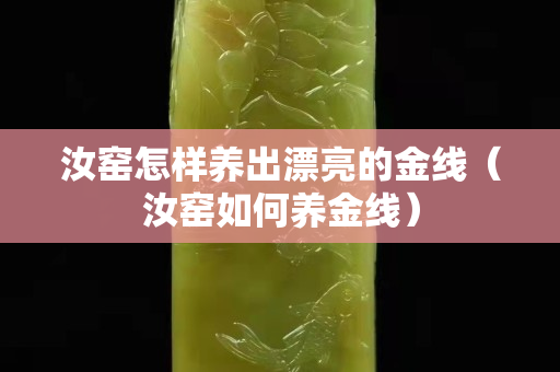 汝窑怎样养出漂亮的金线（汝窑如何养金线）