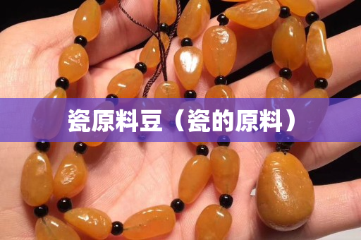 瓷原料豆（瓷的原料）