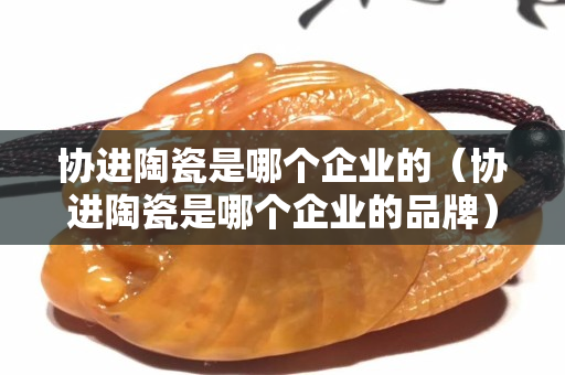 协进陶瓷是哪个企业的（协进陶瓷是哪个企业的品牌）
