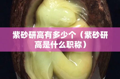 紫砂研高有多少个（紫砂研高是什么职称）