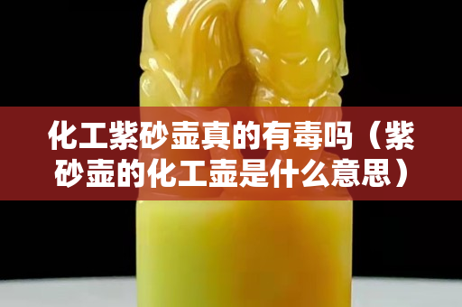 化工紫砂壶真的有毒吗（紫砂壶的化工壶是什么意思）
