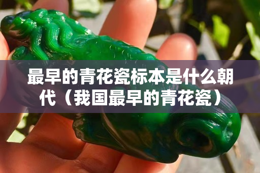 最早的青花瓷标本是什么朝代（我国最早的青花瓷）