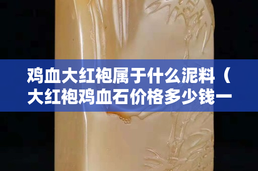 鸡血大红袍属于什么泥料（大红袍鸡血石价格多少钱一克）