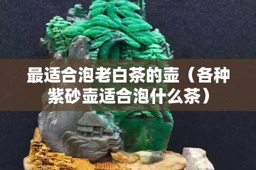 最适合泡老白茶的壶（各种紫砂壶适合泡什么茶）