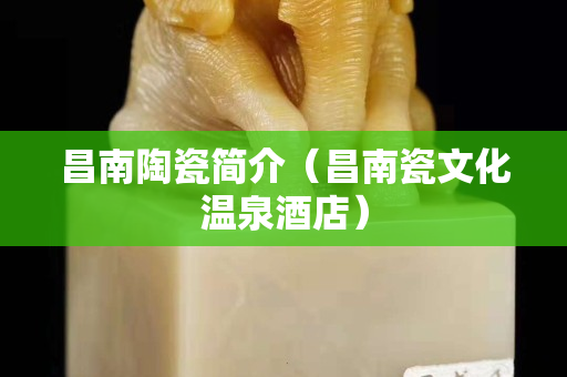 昌南陶瓷简介（昌南瓷文化温泉酒店）