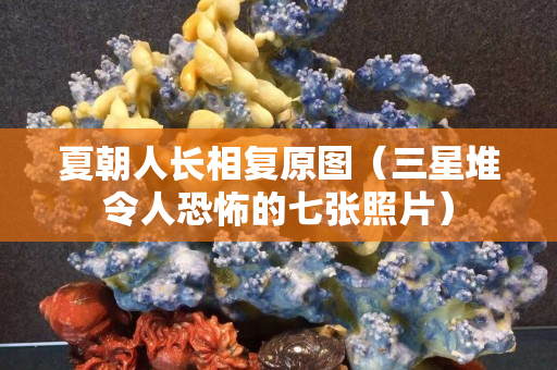 夏朝人长相复原图（三星堆令人恐怖的七张照片）