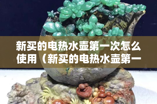 新买的电热水壶第一次怎么使用（新买的电热水壶第一次如何清洗消毒）
