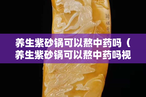 养生紫砂锅可以熬中药吗（养生紫砂锅可以熬中药吗视频）