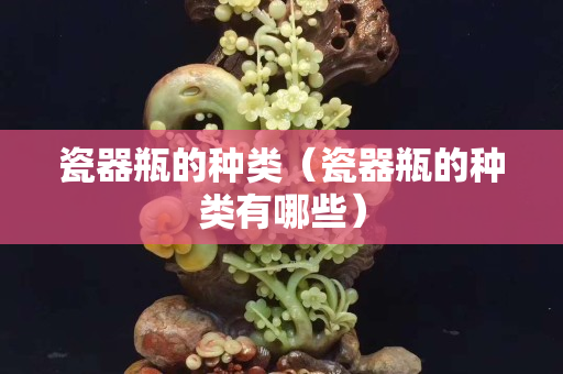 瓷器瓶的种类（瓷器瓶的种类有哪些）
