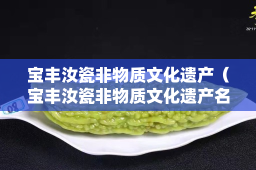 宝丰汝瓷非物质文化遗产（宝丰汝瓷非物质文化遗产名录）
