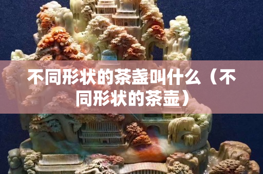 不同形状的茶盏叫什么（不同形状的茶壶）