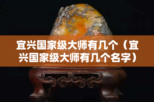 宜兴国家级大师有几个（宜兴国家级大师有几个名字）
