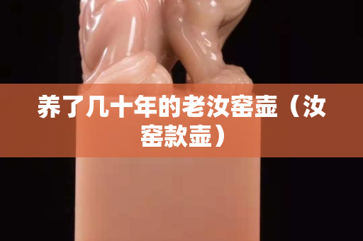 养了几十年的老汝窑壶（汝窑款壶）