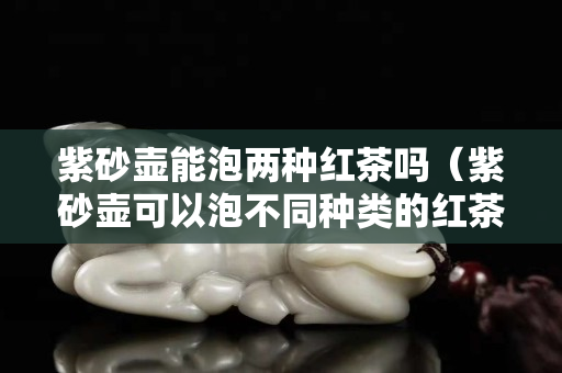 紫砂壶能泡两种红茶吗（紫砂壶可以泡不同种类的红茶吗）