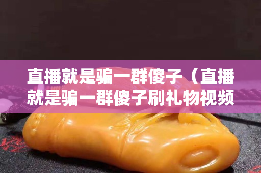直播就是骗一群傻子（直播就是骗一群傻子刷礼物视频）