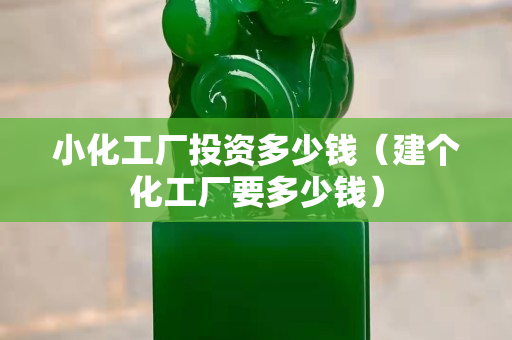 小化工厂投资多少钱（建个化工厂要多少钱）