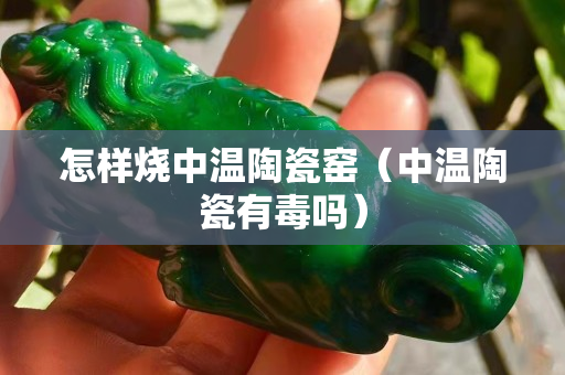 怎样烧中温陶瓷窑（中温陶瓷有毒吗）