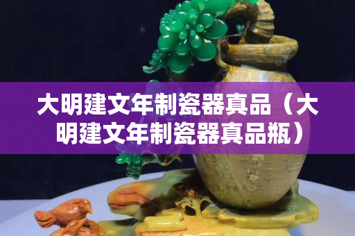 大明建文年制瓷器真品（大明建文年制瓷器真品瓶）
