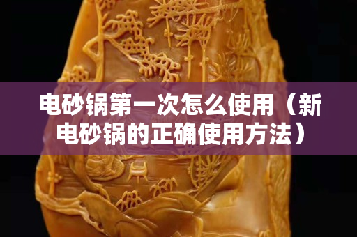 电砂锅第一次怎么使用（新电砂锅的正确使用方法）