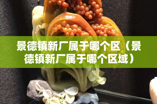 景德镇新厂属于哪个区（景德镇新厂属于哪个区域）