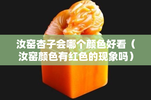 汝窑杏子会哪个颜色好看（汝窑颜色有红色的现象吗）